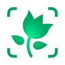 PictureThis app icon