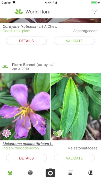 PlantNet screenshot from the App Store listing